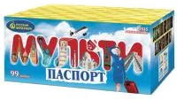Мультипаспорт