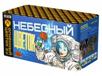 Небесный цветок